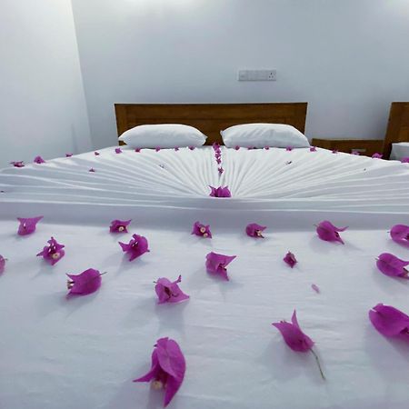 Yala Safari Green Home Stay Tissamaharama Extérieur photo